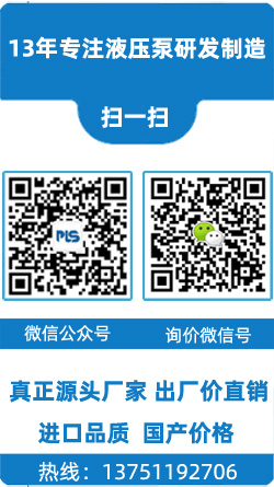 派力士-專注液壓泵研發制造12年
